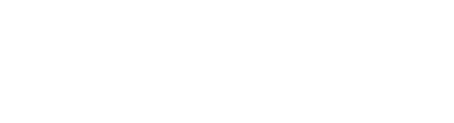 Starlink Logo